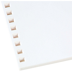 GBC ProClick 32-Hole Pre-punched Paper - White (GBC2514479)