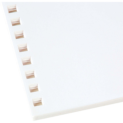 GBC ProClick 32-Hole Pre-punched Paper - White (GBC2514479)