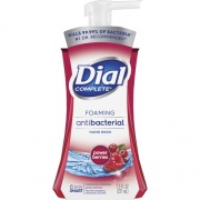 Dial Complete Foaming Antibacterial Hand Wash (03016)
