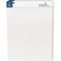 Business Source Self-stick Easel Pads (BSN38591)