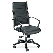 Eurotech Europa Titanium Frame Executive Chair (LE111TNM)