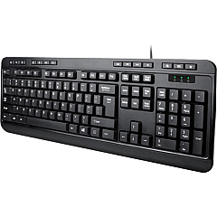 Adesso Desktop Multimedia Ps/2 Black Keyboard (AKB132PB)