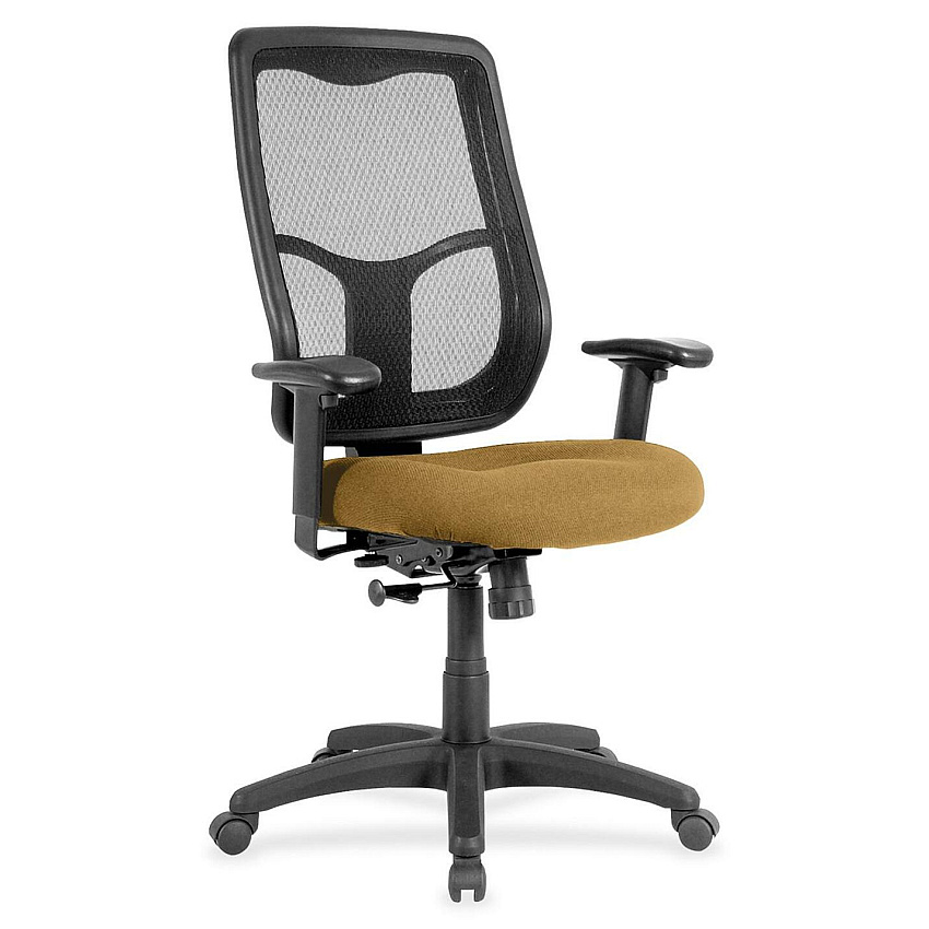 Eurotech Apollo High Back Synchro Task Chair (MTHB9429)
