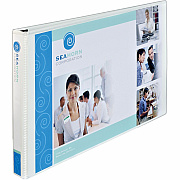 Avery Heavy-Duty View Binder (AVE72124)