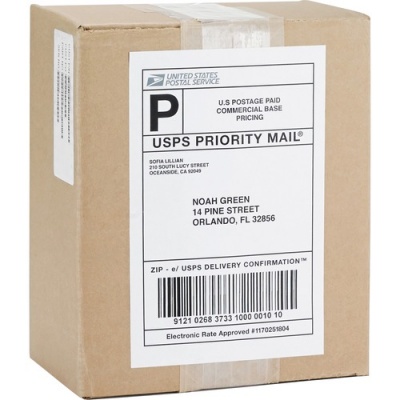 Business Source Shipping Labels (26161)