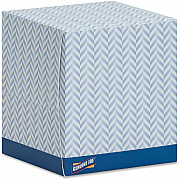 Genuine Joe Cube Box Facial Tissue (GJO26085)