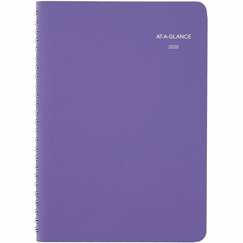 At-A-Glance Beautiful Day Appointment Book Planner (938P200)