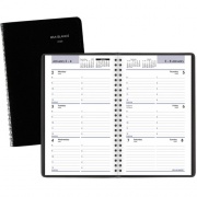 AT-A-GLANCE DayMinder Weekly Appointment Book (G20000)