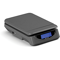 Brecknell PS25 Electronic Scale (SBWPS25GRAY)