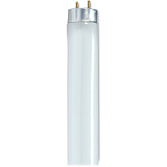 Satco 28-watt 48" T8 Fluorescent Tube (SDNS8424)
