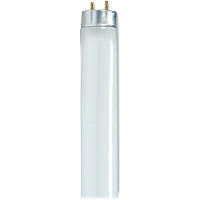 Satco 25-watt 48" T8 Fluorescent Bulb (SDNS8440)