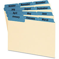 Oxford Laminated Tab Index Card Guides (OXF04613)