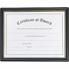 nudell Plastic Framed Award Certificate (NUD19210)