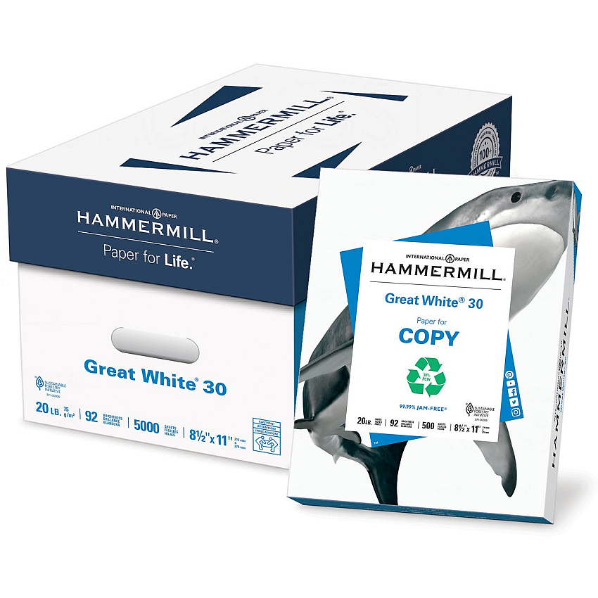 Hammermill Great White Recycled Copy Paper - White (HAM86700PL)