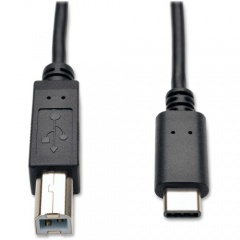 Tripp Lite 6ft USB 2.0 Hi-Speed Cable B Male to USB Type-C USB-C Male 6' (U040006)