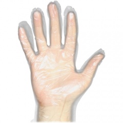 Protected Chef Disposable General Purpose Gloves (8600L)