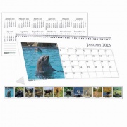House of Doolittle Wildlife Photo Desk Top Tent Calendars (3689)