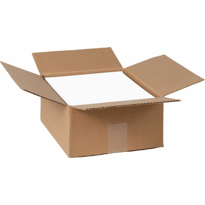 Avery Shipping Labels - TrueBlock Technology (95900)