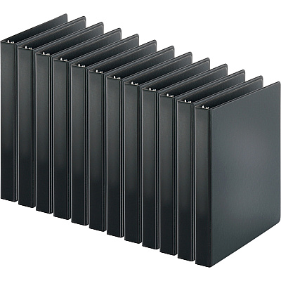 Business Source Basic Round-ring Binder (BSN09976CT)
