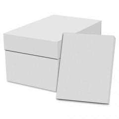 Special Buy Copy Paper - White (EC851192PL)