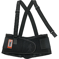 ergodyne ProFlex High-performance Back Support (EGO11283)
