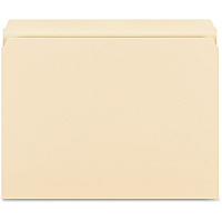Business Source Straight Tab Cut Letter Recycled Storage Folder (BSN16518)