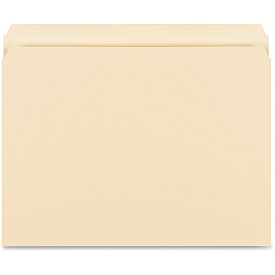 Business Source Straight Tab Cut Letter Recycled Storage Folder (BSN16518)