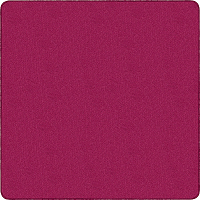 Flagship Carpets Classic Solid Color 12' Square Rug (AS70CB)