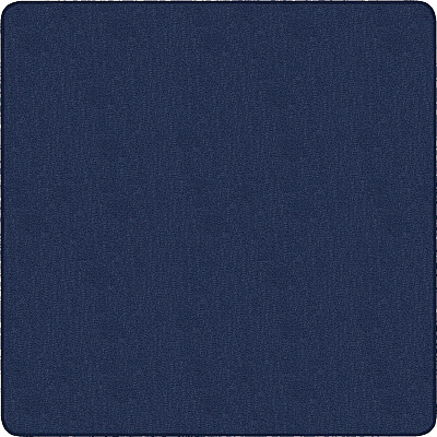 Flagship Carpets Classic Solid Color 12' Square Rug (AS70NY)