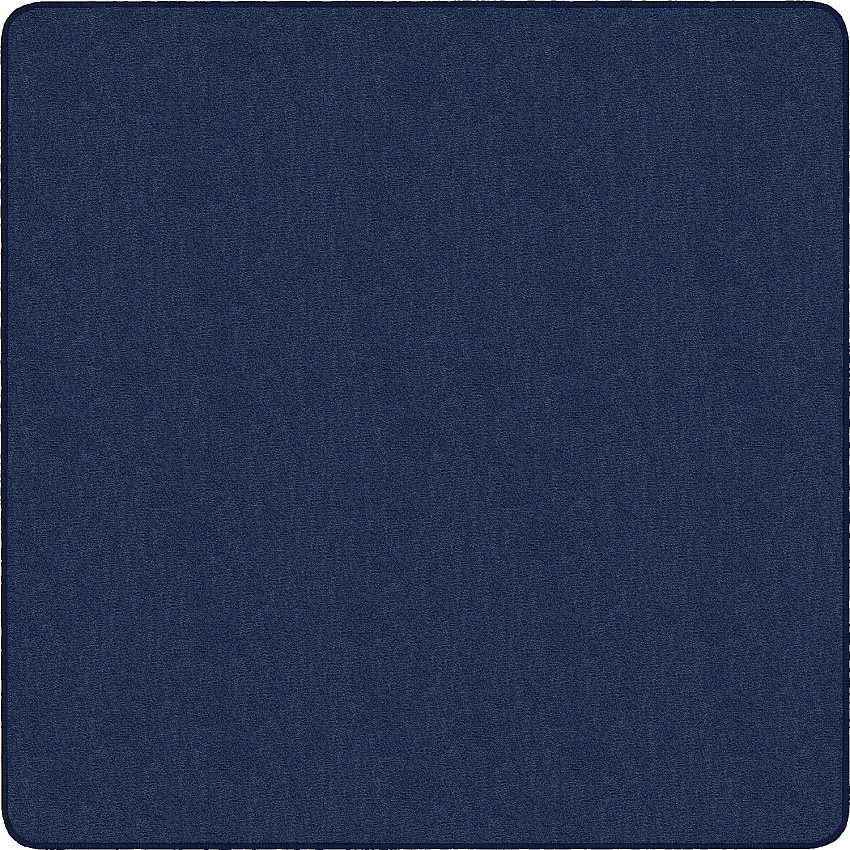 Flagship Carpets Classic Solid Color 12' Square Rug (AS70NY)