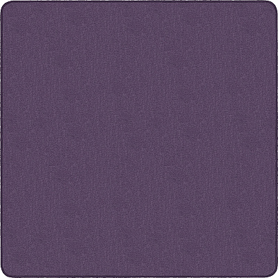 Flagship Carpets Classic Solid Color 12' Square Rug (AS70PP)