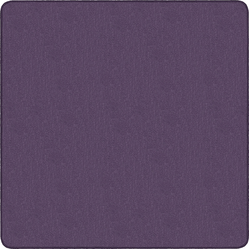 Flagship Carpets Classic Solid Color 12' Square Rug (AS70PP)