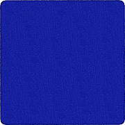 Flagship Carpets Classic Solid Color 12' Square Rug (AS70RB)