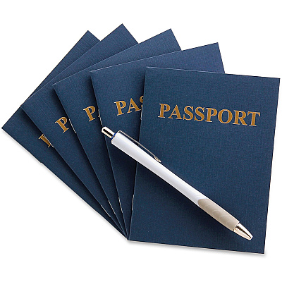 Hygloss Kids Craft Blank Passport Books (HYX32612)