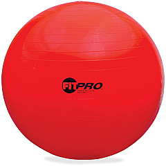 Champion Sports FitPro Training/Exercise Ball (CSIFP65)