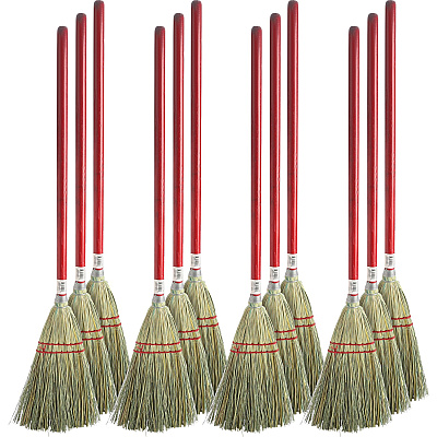 Genuine Joe Lobby Broom (GJO11501CT)