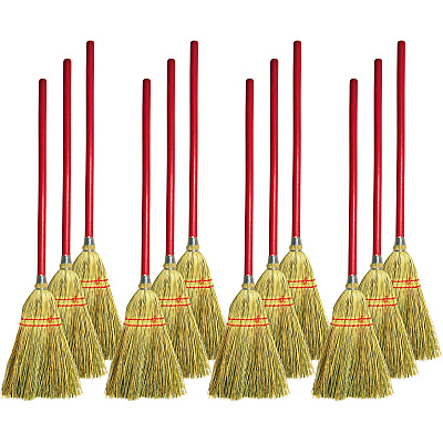 Genuine Joe Lobby Broom (GJO12501CT)