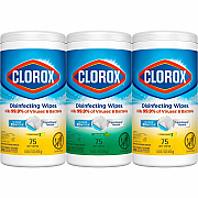 Clorox Disinfecting Bleach Free Cleaning Wipes Value Pack (CLO30208PK)