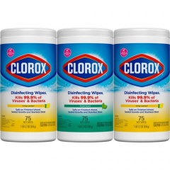 Clorox Disinfecting Cleaning Wipes Value Pack (30208PK)