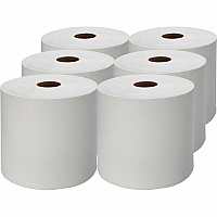 Genuine Joe Hardwound Roll Paper Towels (GJO22900)