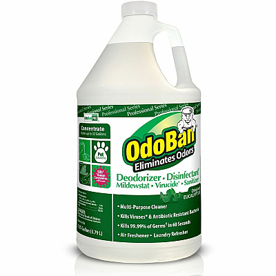 OdoBan Eucalyptus Multi-purpose Deodorizer Disinfectant Concentrate (ODO911062G4EA)