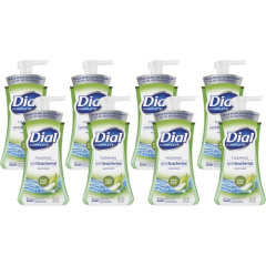 Dial Complete Foaming Hand Wash (02934CT)