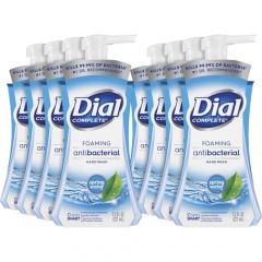 Dial Complete Spring Water Foaming Soap (05401CT)