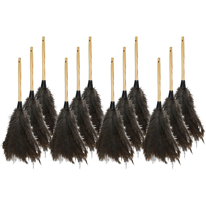 Genuine Joe Feather Duster (GJO90118CT)