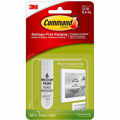 Command Medium Picture Hanging Strips (MMM17204ES)