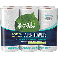 Seventh Generation 100% Recycled Paper Towels (SEV13731CT)