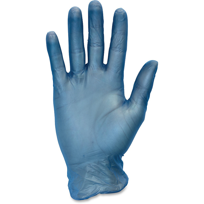 Safety Zone General-purpose Powder-free Vinyl Gloves (SZNGVP9SM1BL)
