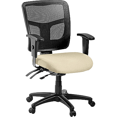 Lorell ErgoMesh Series Managerial Mesh Mid-Back Chair (86201007)