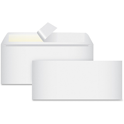 Business Source Peel-To-Seal Envelopes (BSN99712)