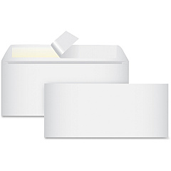 Business Source No. 10 Peel-to-seal Envelopes (BSN99713)